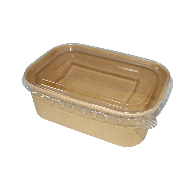 Eco-friendly Paper Lunch Box - Double Paper Product
