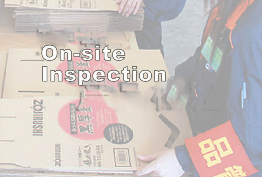 on-site inspection.jpg