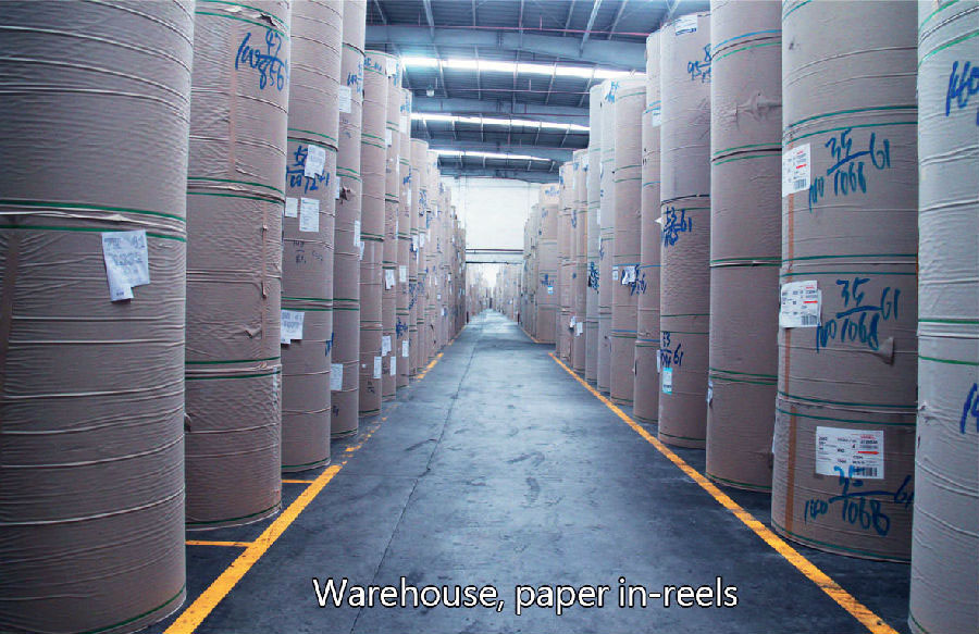 warehouse, paper in-reels.jpg